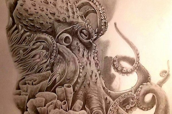 Kraken darknet