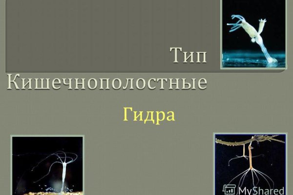 Кракен шоп это
