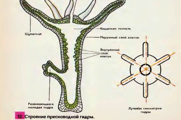 Кракен зеркало на тор